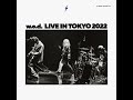 モーニング・グローリー live 2022