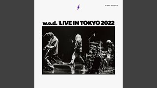 モーニング・グローリー - Live 2022