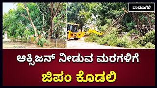 ಆಕ್ಸಿಜನ್‌ ನೀಡುವ ಮರಗಳಿಗೆ ಜಿಪಂ ಕೊಡಲಿ | Trees Cut In Davangere; People Angry | Vijay Karnataka