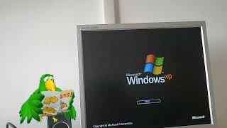 Microsoft Agent Desktop Skits: Windows 3.1