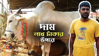 2019 | হাটের দানব | লাখ টাকার গরুর দাম ও সাইজ দেখে নিন | Aftabnagar Gorur Haat 2019 | Cow Hat 2019