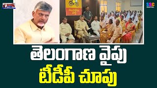 TDP Party Focusing On Telangana Politics|తెలంగాణ వైపు టీడీపీ చూపు|CM Chandrababu Naidu | SSC Digital