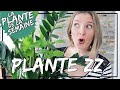 🌿 Le Zamioculcas (plante ZZ) : conseils d'entretien, arrosage, luminosité... #laplantedelasemaine​​