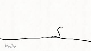 Worm test animation