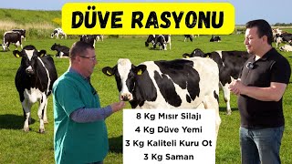 Gebe Düvelerde Rasyon | Aşı Programı | Nakil Sonrası Bakım besleme