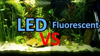 Upgrade Fluorescent Bulb to 2x10W LED Lighting