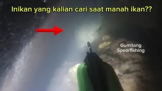 SERUNYA !! Berburu dengan panah ikan sungai mini 40cm ✅✅