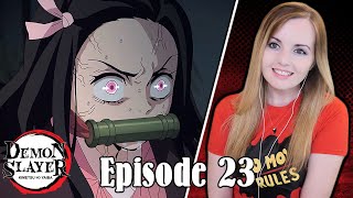 Hashira Meeting - Demon Slayer Episode 23 Reaction