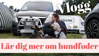 Marknad med Labanbags \u0026 tips om hundfoder.. Vlogg