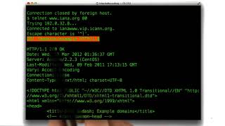 48 Telnet Request Solution