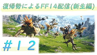 【FF14】復帰勢(約7年ぶり)によるエオルゼア探訪記　 (※ネタバレ有り) #12