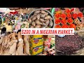 AFRICAN MARKET SHOPPING IN ABUJA NIGERIA| $200 BULK FOOD SHOPPING| COST OF FOODSTUFFS IN DUSTE.