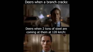 Deers when a branch cracks: #shorts #memes