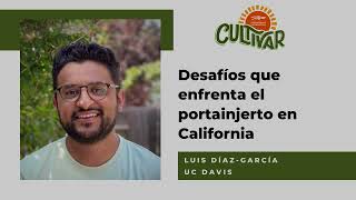 Desafios que enfrenta el portainjerto en California