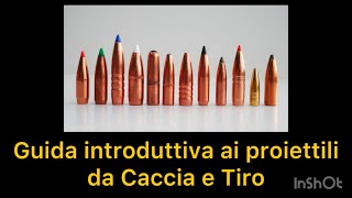 GUIDA INTRODUTTIVA AI PROIETTILI DA CACCIA E TIRO