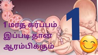 First month pregnancy  in tamil || முதல் மாத கர்ப்பம்