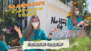 นาฮ่องคาเฟ่  (Na-Hong Cafe) คาเฟ่บรรยากาศธรรมชาติ มีนกแก้วมาคอร์ จังหวัด ร้อยเอ็ด #คาเฟ่ #ร้อยเอ็ด