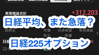 【24】日経平均、また急落？日経225オプション【有料級】素人が、実は1番FIREしやすい！儲かる　資産が増える　急落　日経平均　急騰　大暴落　暴騰　ビットコイン　バイナリー　株　失敗　大損　レバナス