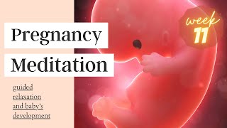 Pregnancy Week by Week 11 | Meditation and Connection