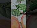 #shorts Apple 🍎 Drawing Of  Pencil Colour | #viral #youtubeshorts #apple