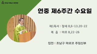 2025. 2.19  연중 제6주간 수요일  미사