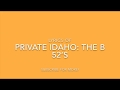 Private Idaho-The B-52's-Lyrics Video