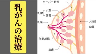 乳がんの治療（動画本）