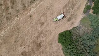 Tunisian drought threatens farms and state finances