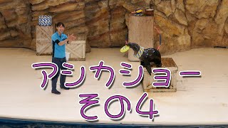 アシカショー その４ 鳥羽水族館 Sea lion show part 4 Toba Aquarium (Mie Japan)