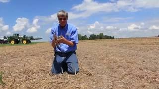 Needham Ag - Sound residue management is important for cover crops