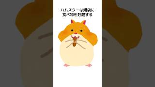 ほとんどの人が知らない動物の面白い雑学#雑学 #animalshorts  #1分雑学 #豆知識 #動物