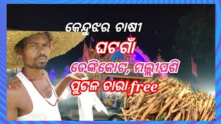 Keojher chasi ଘଟଗାଁ ଡେଙ୍କିକୋଟ, ମଲ୍ଲୀପଶି ପୁଟଳ ଚାରା Free Chasi କେବଳ  .