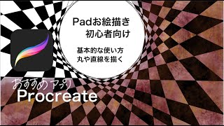 iPadお絵描き おすすめアプリ procreate 初心者向け 基本的な使い方