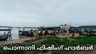 മീൻ ലേലം ചെയ്തു വാങ്ങാം | Ponnani fishing harbour