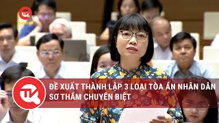 Đề xuất thành lập 3 loại Tòa án nhân dân sơ thẩm chuyên biệt | Truyền hình Quốc hội Việt Nam