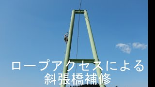 【SORAT/きぃすとん】斜張橋の補修 ロープアクセス技術 ロープ高所作業 ロープ足場 無足場