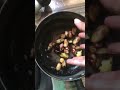 වැලිදාපු කොස් ඇට😱මෙහෙම කාල තියෙනවද jack seeds shorts cooking jack nature