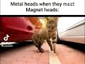 metal heads when they meet magnet heads shorts