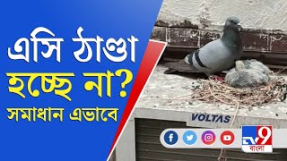 Air Conditioner: এসি ঠাণ্ডা হচ্ছে না? সমাধান এভাবে