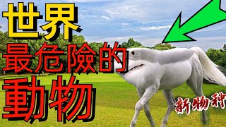 全世界最危險的12種雜交動物！ 人獸合體真實存在，直接嚇壞科學家#新世界#感觀世界#冷知识#世界排名#top#排名#台湾#世界之最