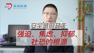 安全感的缺失：强迫、焦虑、抑郁、社恐的根源