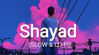 Shayad [ Slowed+Reverb] |Arijit Singh| Love Aaj Kal | Bollywood Lofi Hindi song