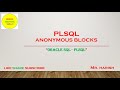 Oracle PLSQL Anonymous Blocks