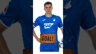 Schalke 04 0-1 Hoffenheim Goal Robert skov
