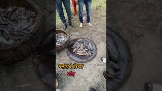 ধলেশ্বরী নদীর টাটকা মাছ 🐟 #everyone #viralvideo #fishing