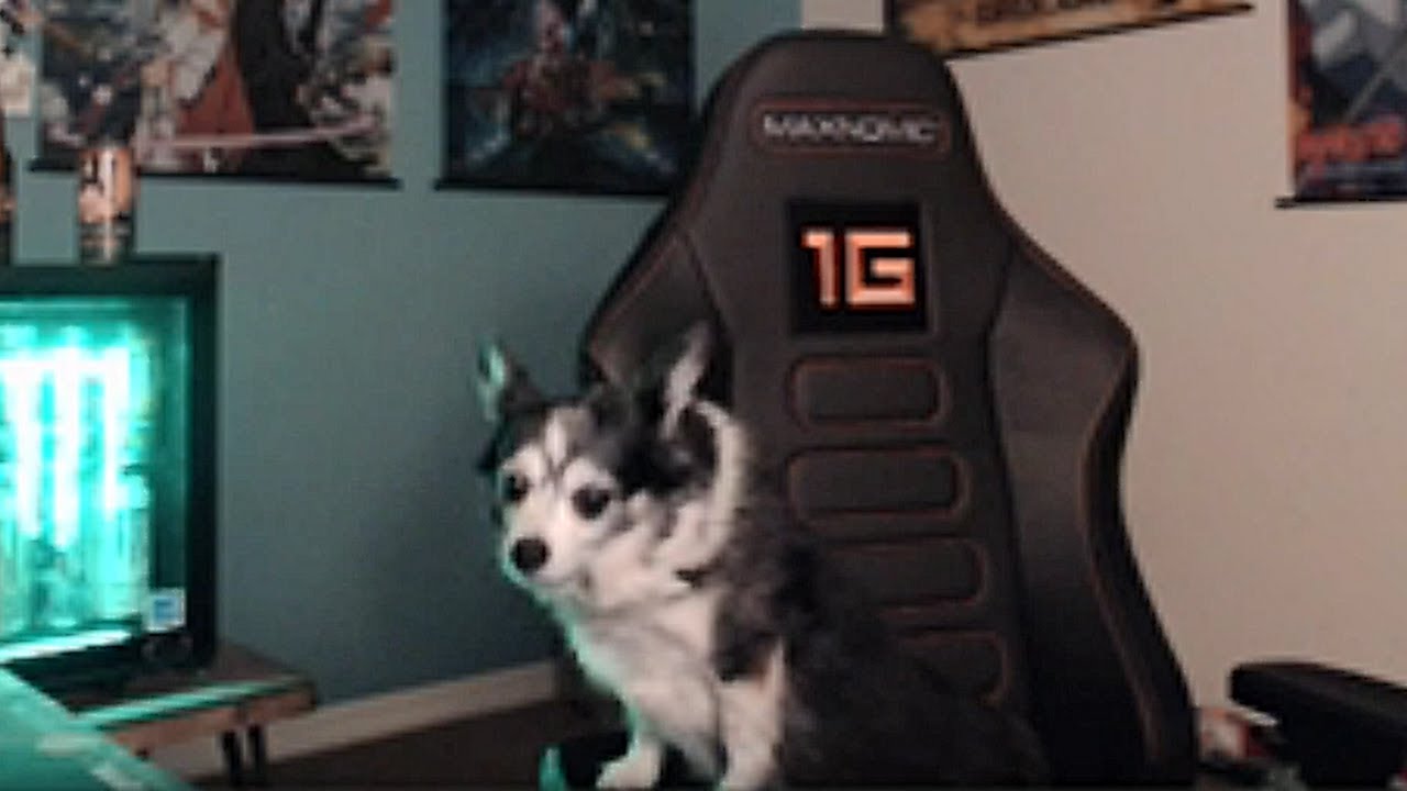 Stream Highlights 130 Youtube