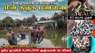 60 பைசா முதல் மீன் குஞ்சுகள் | 50 ஏக்கரில் மீன் குஞ்சு உற்பத்தி|புகழ் மீன் குஞ்சு பண்ணை #fishfarming