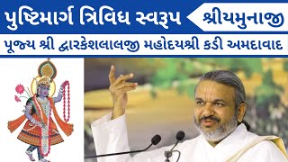 પુષ્ટિમાર્ગ ત્રિવિધ સ્વરૂપ શ્રીયમુનાજી | Shri Yamunaji | Shri Dwarkeshlalji kadi