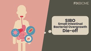 Small Intestinal Bacterial Overgrowth (SIBO) and Die-off