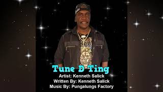 Kenneth Salick - Tune D Ting (Chutney Soca)